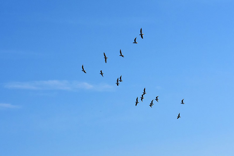 What Does Leadership Really Mean to a Dealership?